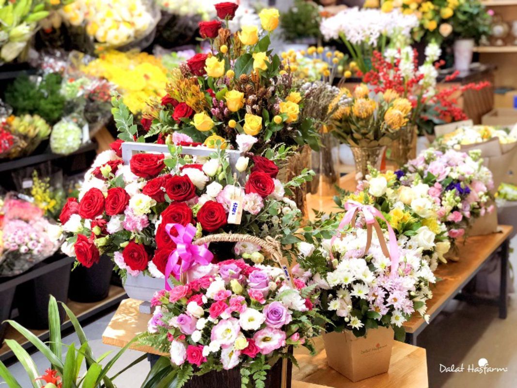 Capture the vibrant energy of Da Lat’s shopping gem