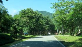 Dive into the eco-friendly charm of Hanoi Travel