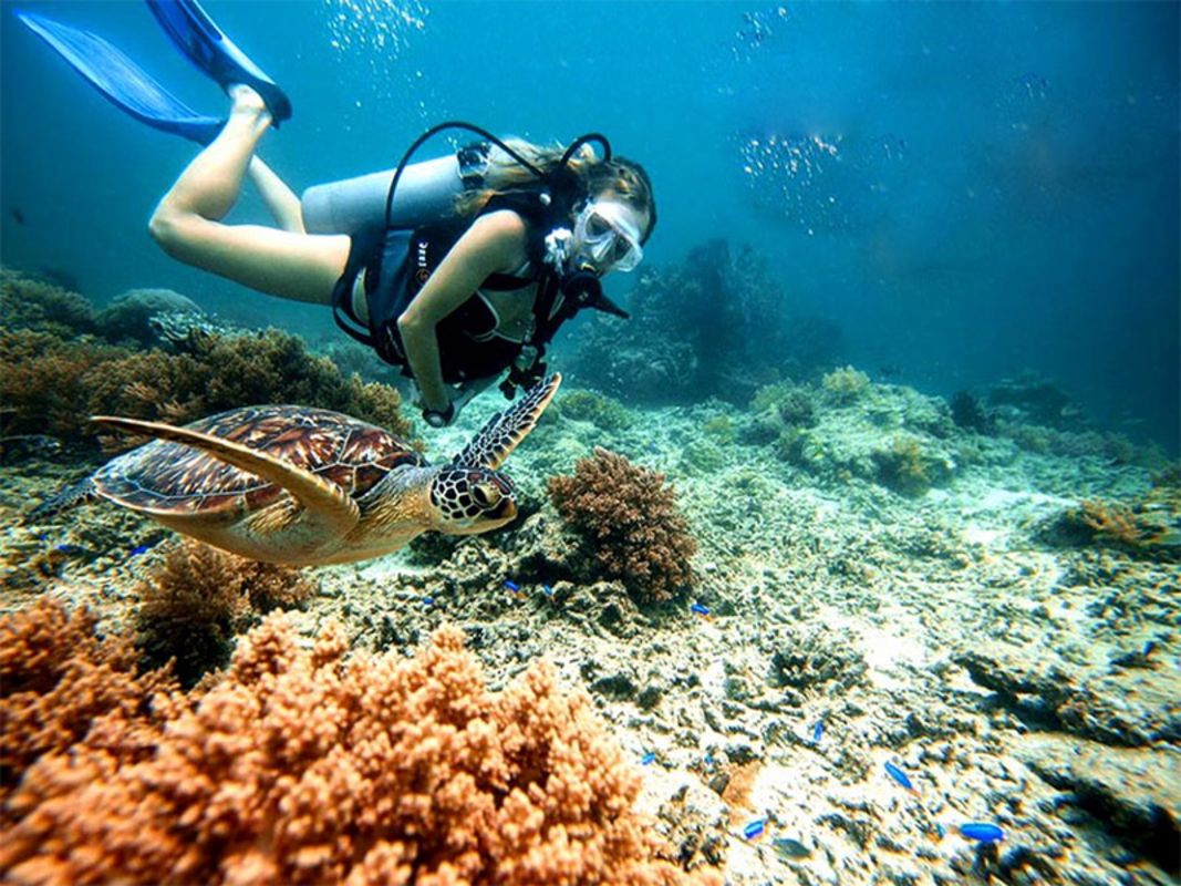 Dive into the adventurous charm of Phu Quoc Travel