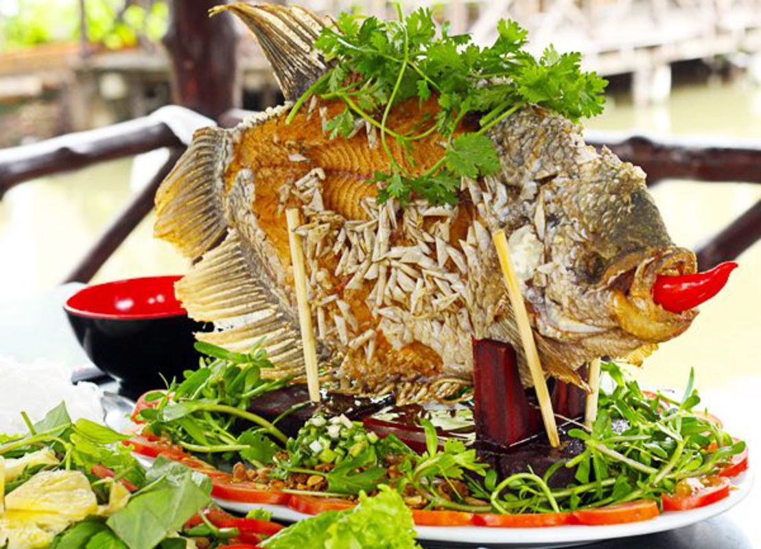 Elephant Ear Fish