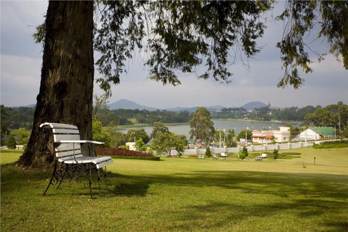 Photograph the lush allure of Da Lat’s landscapes