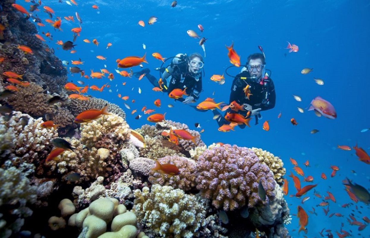 Embrace the vibrant spirit of Khanh Hoa Travel adventures