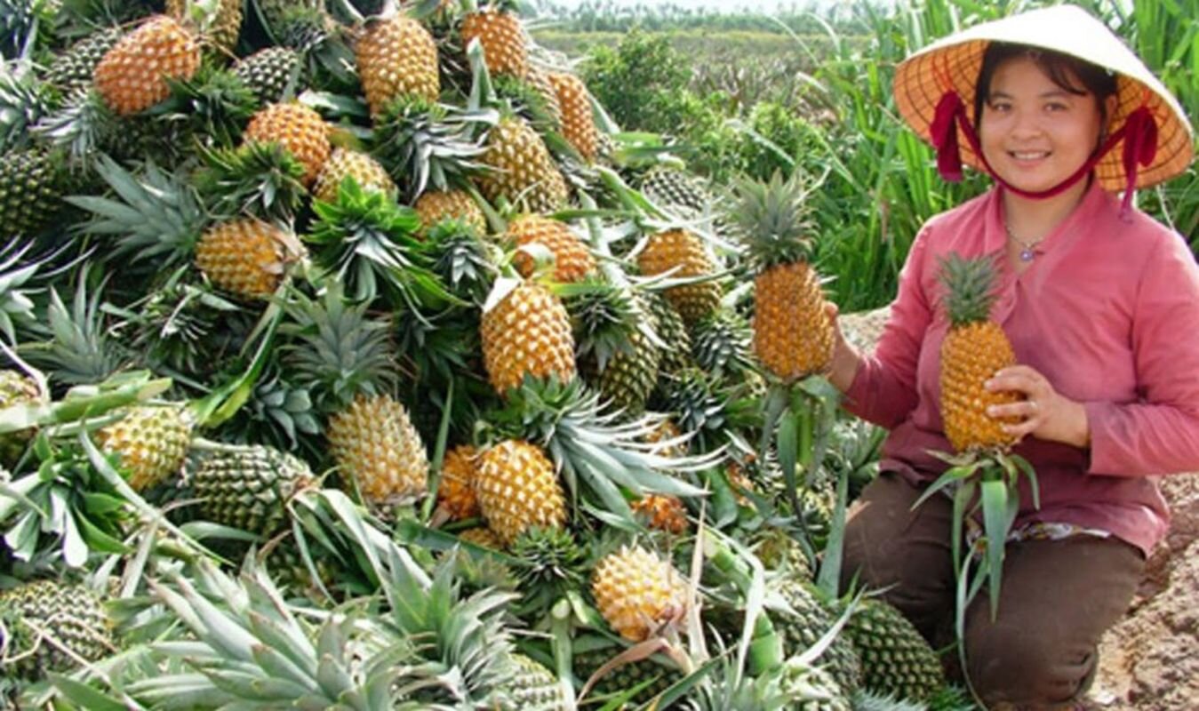Begin your Hau Giang Tours with a scenic adventure