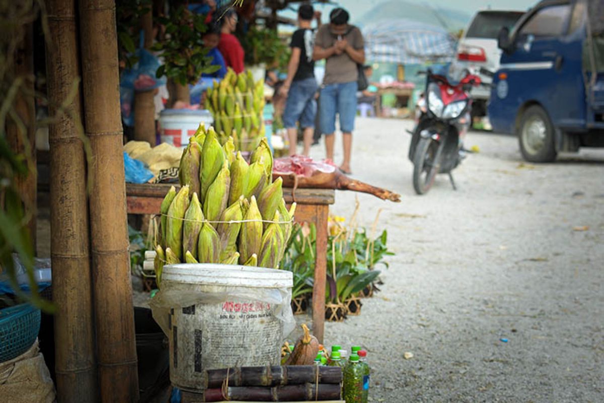 Experience Mai Chau Tours with sustainable adventures