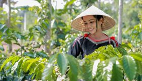 Dive into the authentic charm of Dak Lak Travel