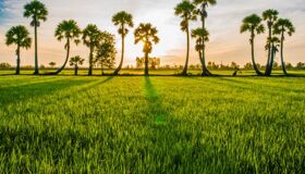 Dive into the serene charm of An Giang Travel