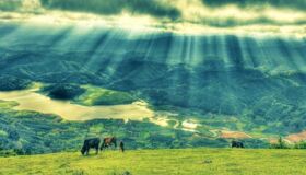Dive into the adventurous charm of Langbiang Travel