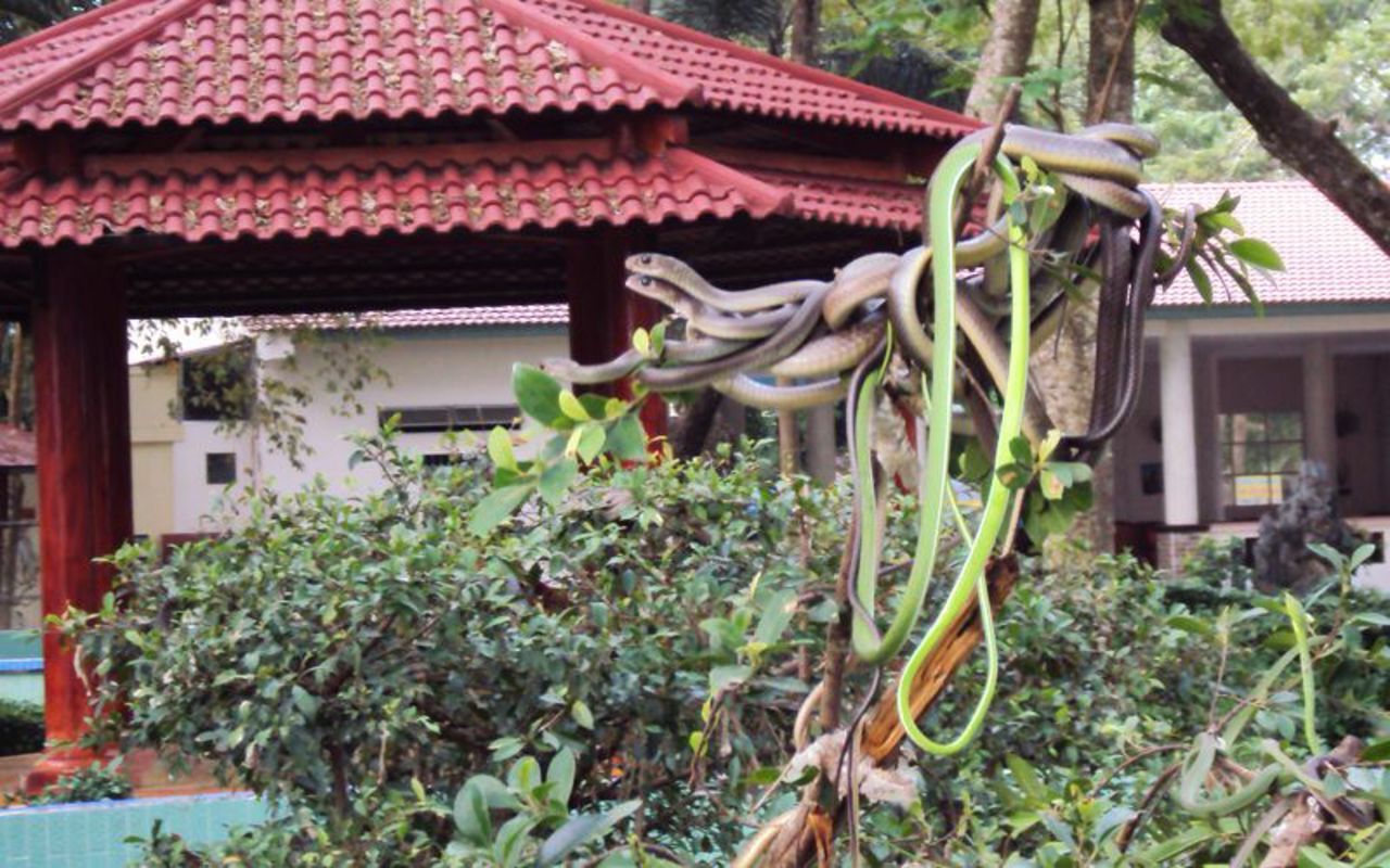 Start your Tien Giang Travel with a fascinating adventure
