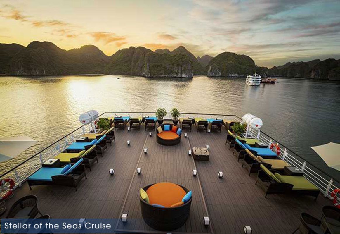 Photograph the rare wildlife of Lan Ha Bay’s ecosystems