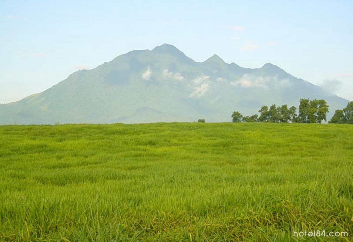 Photograph the verdant allure of Hanoi’s landscapes