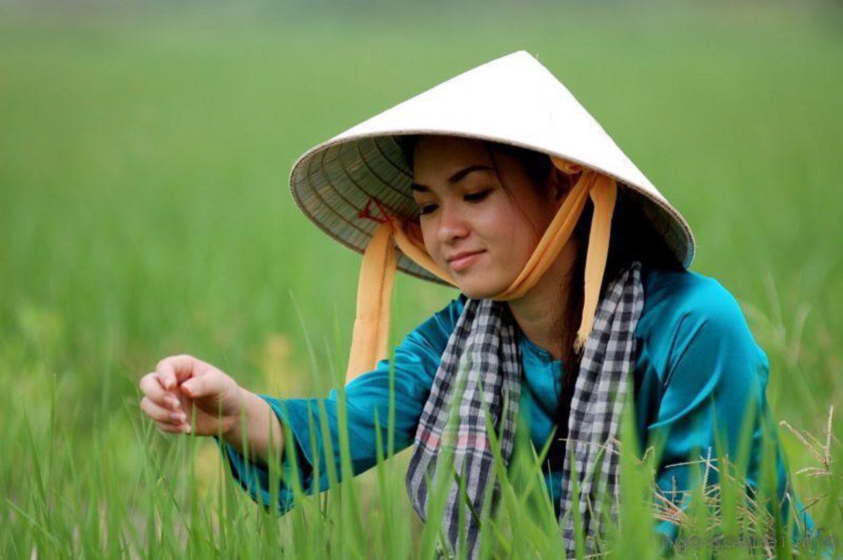 Experience Vinh Long Tours with sustainable adventures