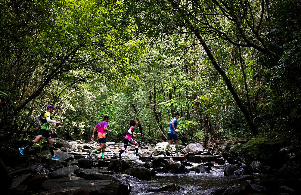 Capture the vibrant beauty of Vietnam with a visa for Turkish travelers