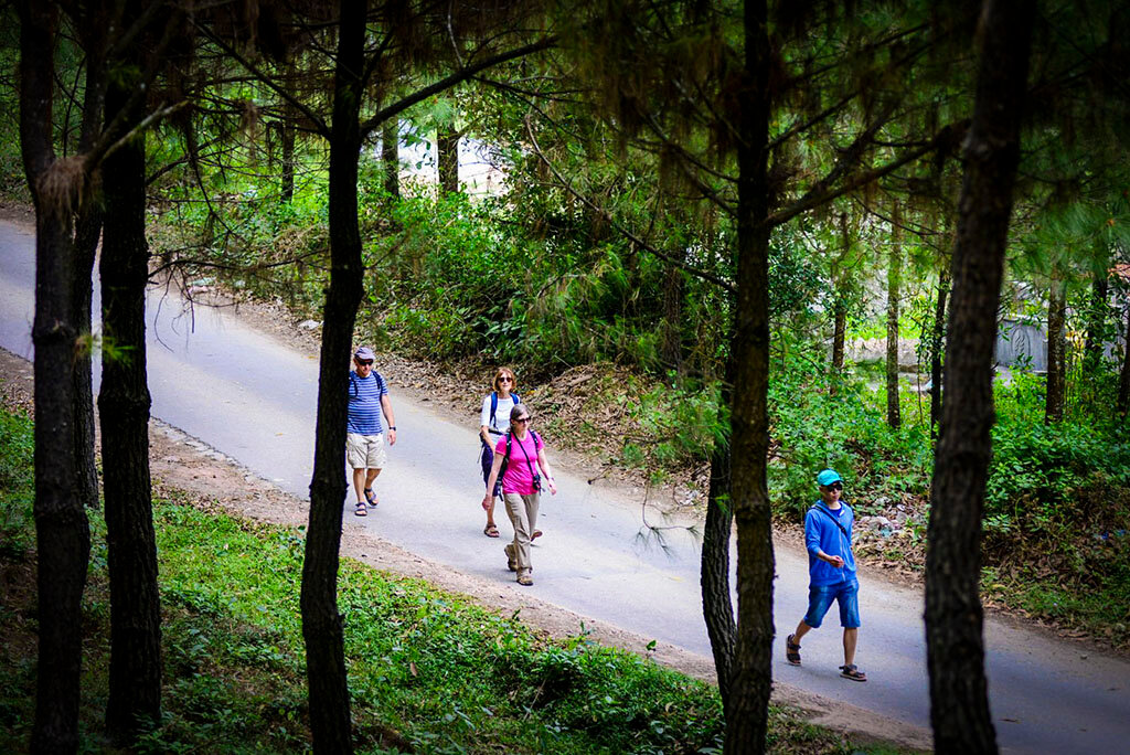 Embrace the vibrant energy of Vietnam’s cultural heritage