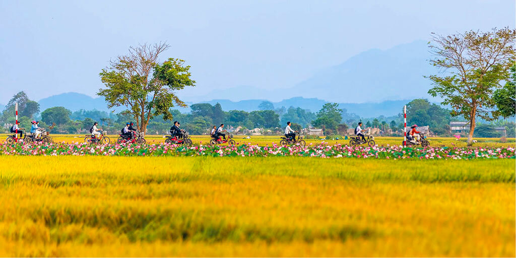 Start your e-visa-prepared journey with Vietnam’s vibrant glow