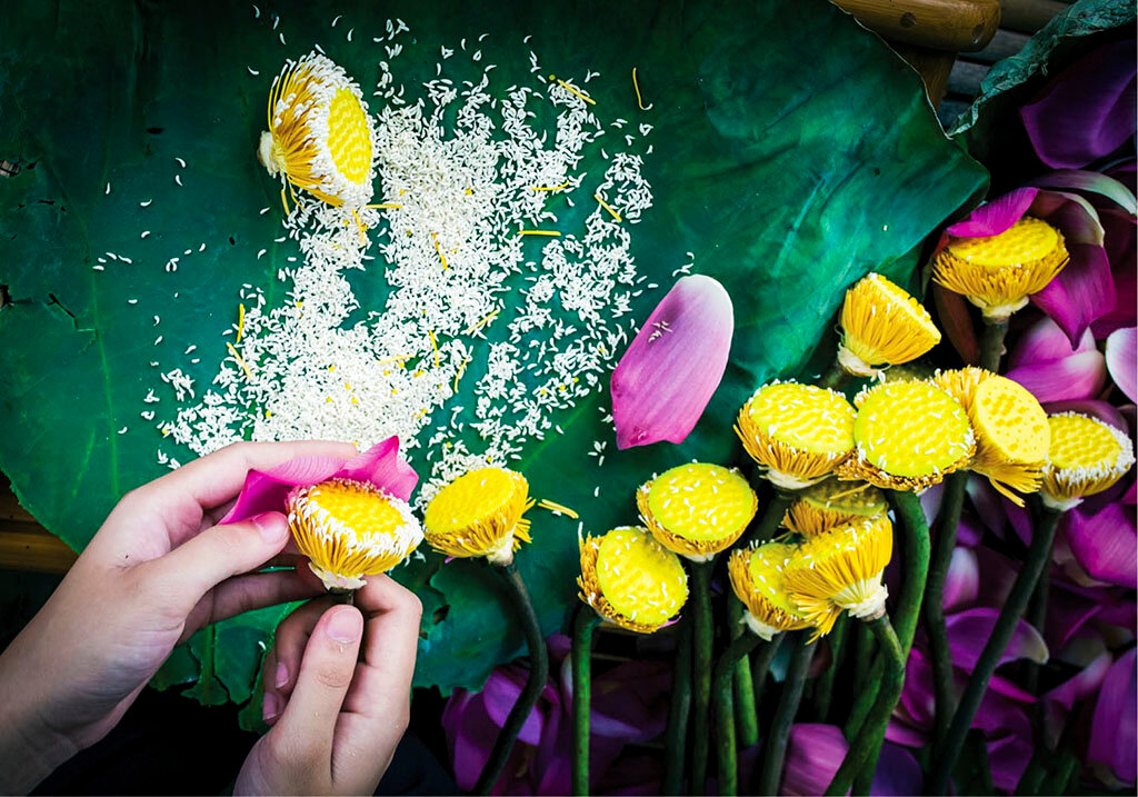 Seize the cultural essence of Vietnam’s artistry