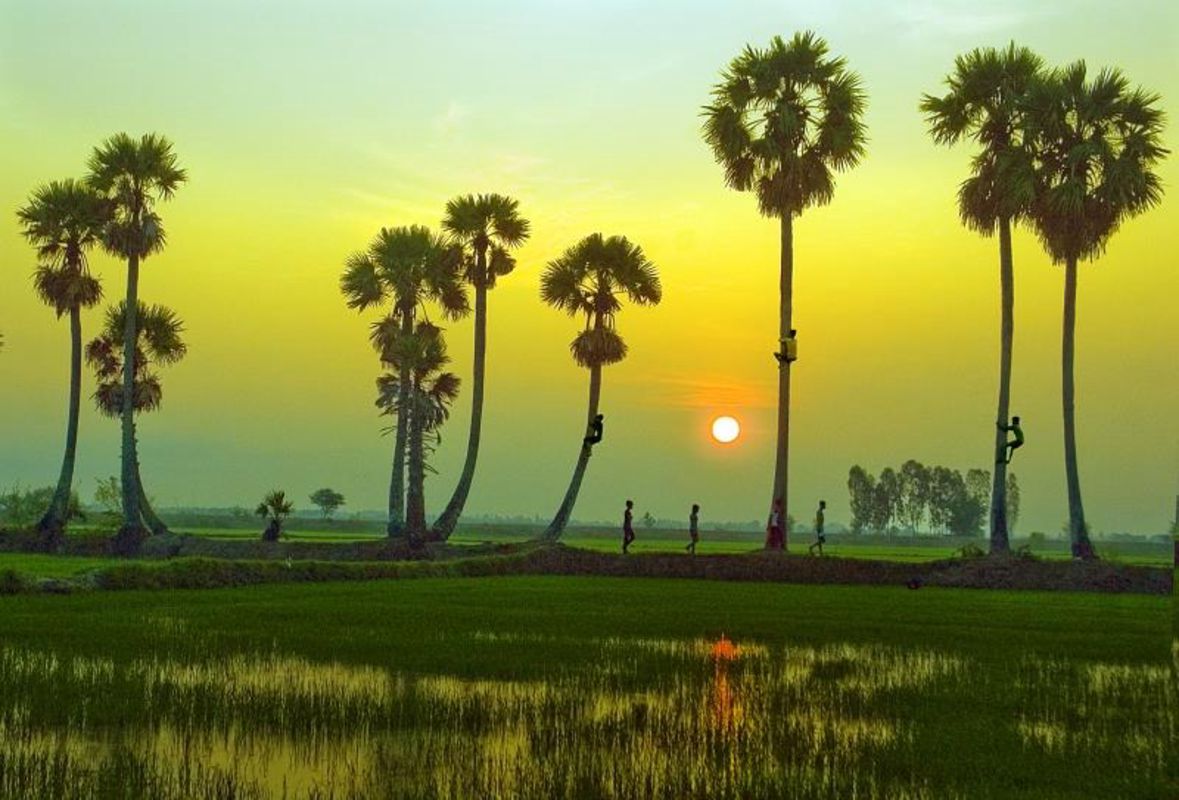 Embrace the vibrant spirit of An Giang Travel adventures