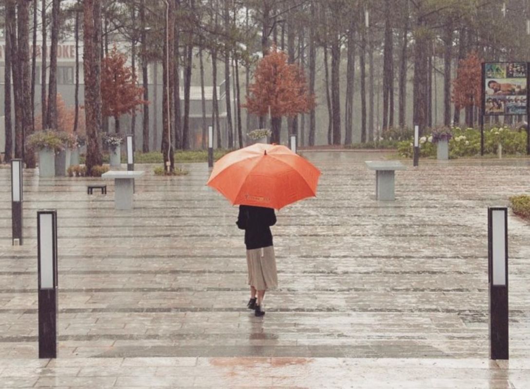 Begin your Da Lat Tours with a misty adventure