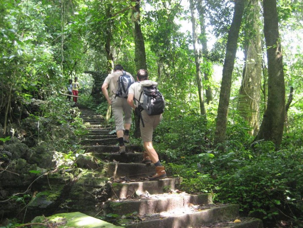 Cuc Phuong National Park - Dive into the lush charm of Ninh Binh Travel