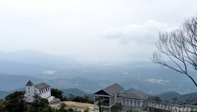Dive into the surreal charm of Da Nang Travel