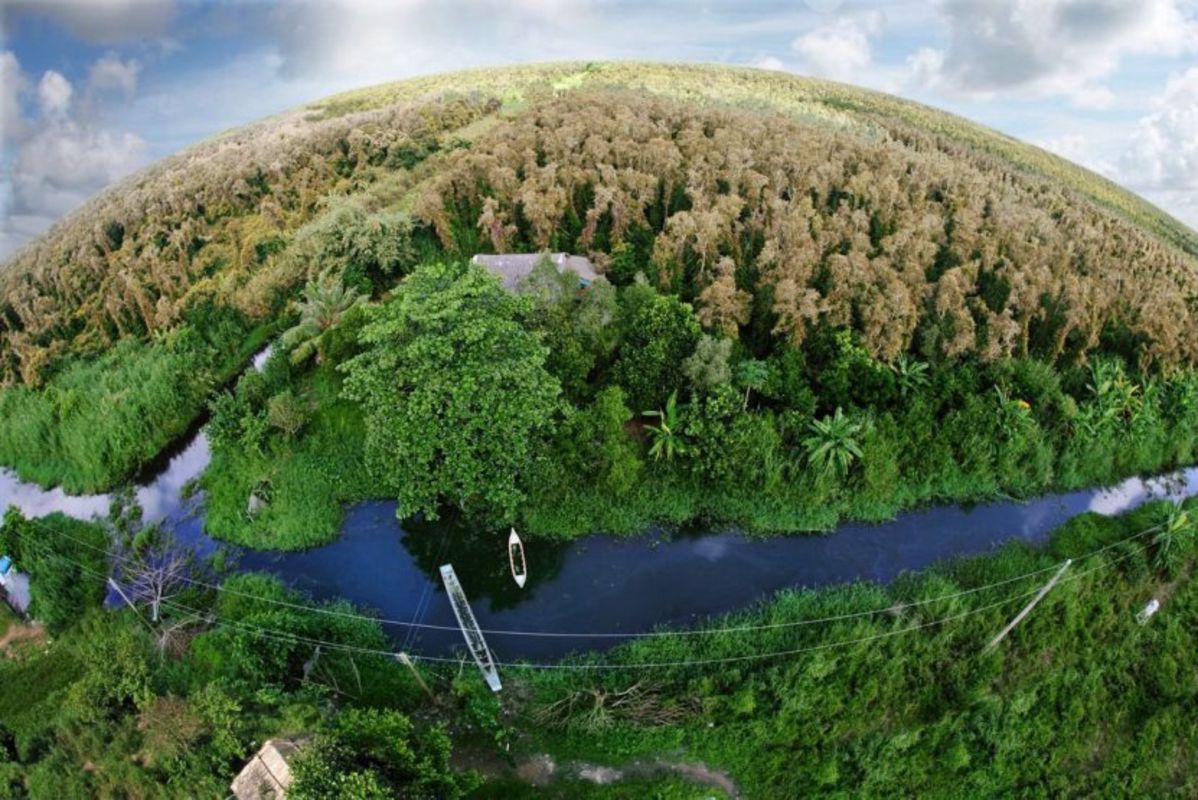 Photograph the natural allure of Ca Mau’s sanctuary