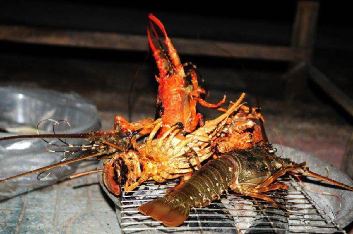 Dive into the flavorful charm of Khanh Hoa Travel