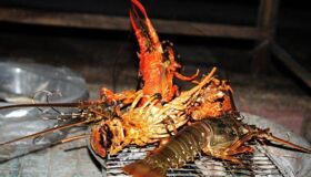 Dive into the flavorful charm of Khanh Hoa Travel