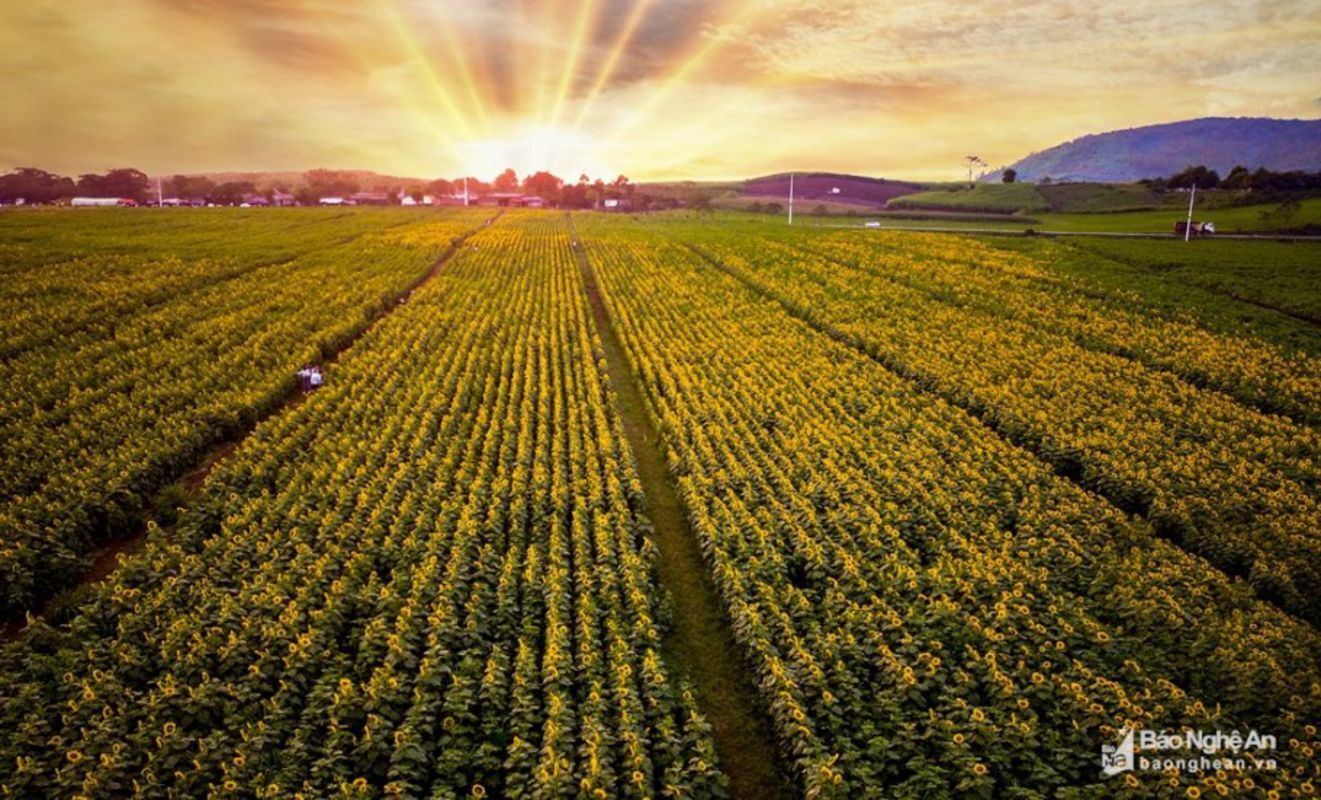 Start your Nghe An Travel with vibrant vistas