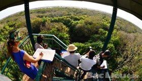 Dive into the serene charm of Ca Mau Travel