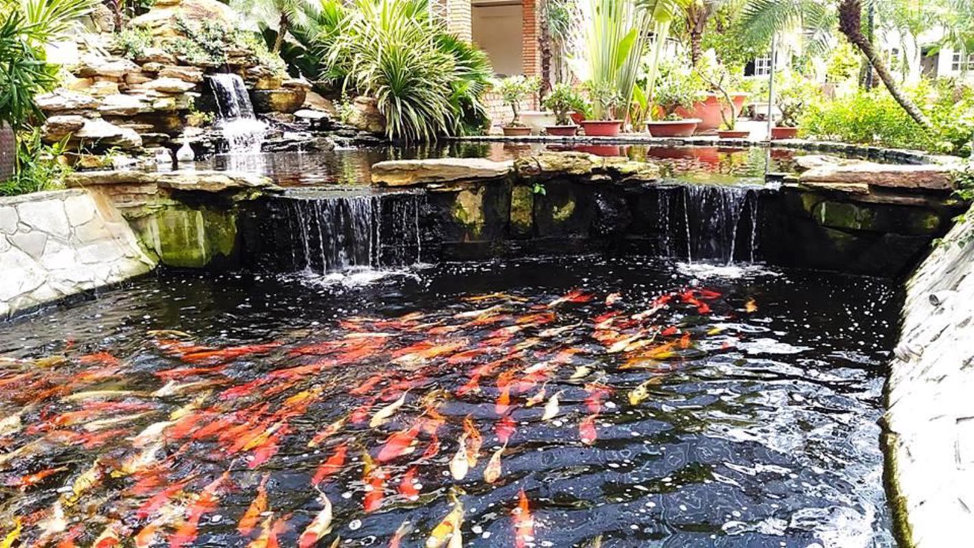 Dive into the serene charm of Tra Vinh Travel