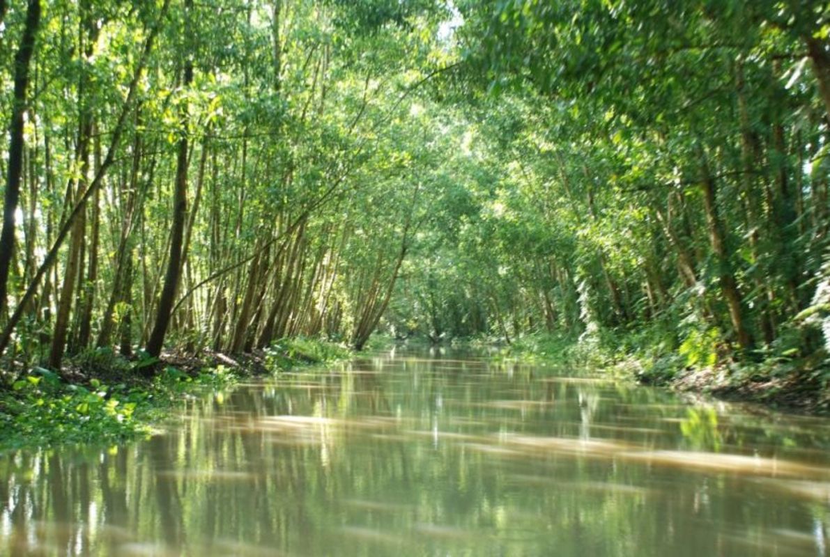 Photograph the serene allure of Hau Giang’s waterways