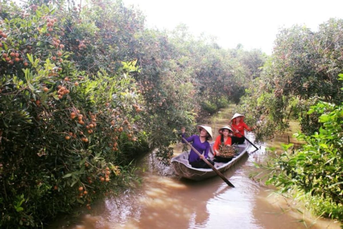 Dive into the tranquil charm of Can Tho Travel