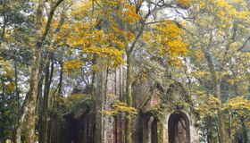 Dive into the haunting charm of Hanoi Travel