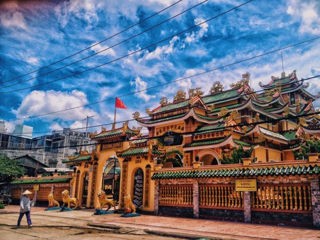 Photograph the vibrant allure of Dong Thap’s natural wonders