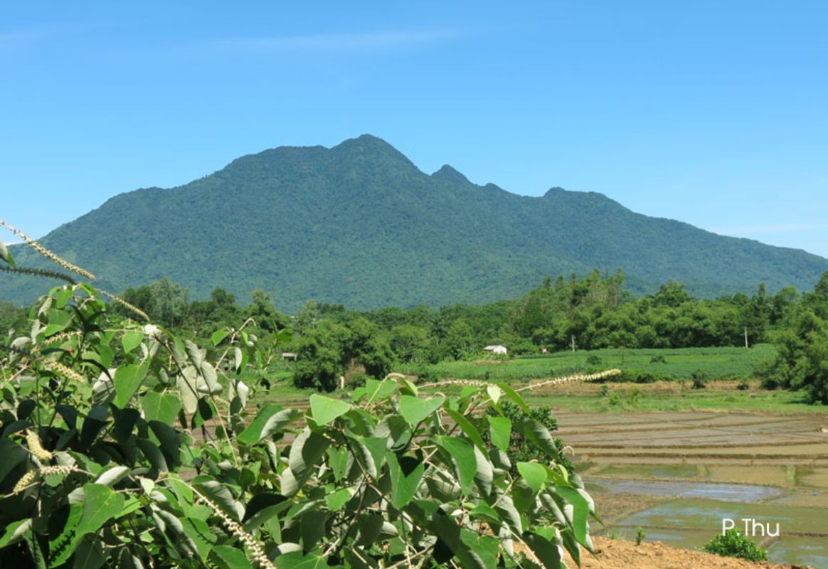 Start your Hanoi Travel with tranquil vistas