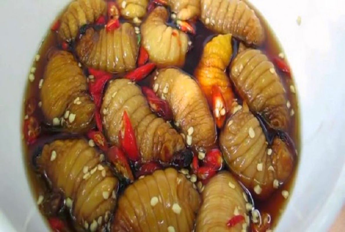 Lava "Đuông Dừa"