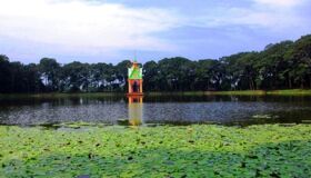 Dive into the natural charm of Vinh Long Travel