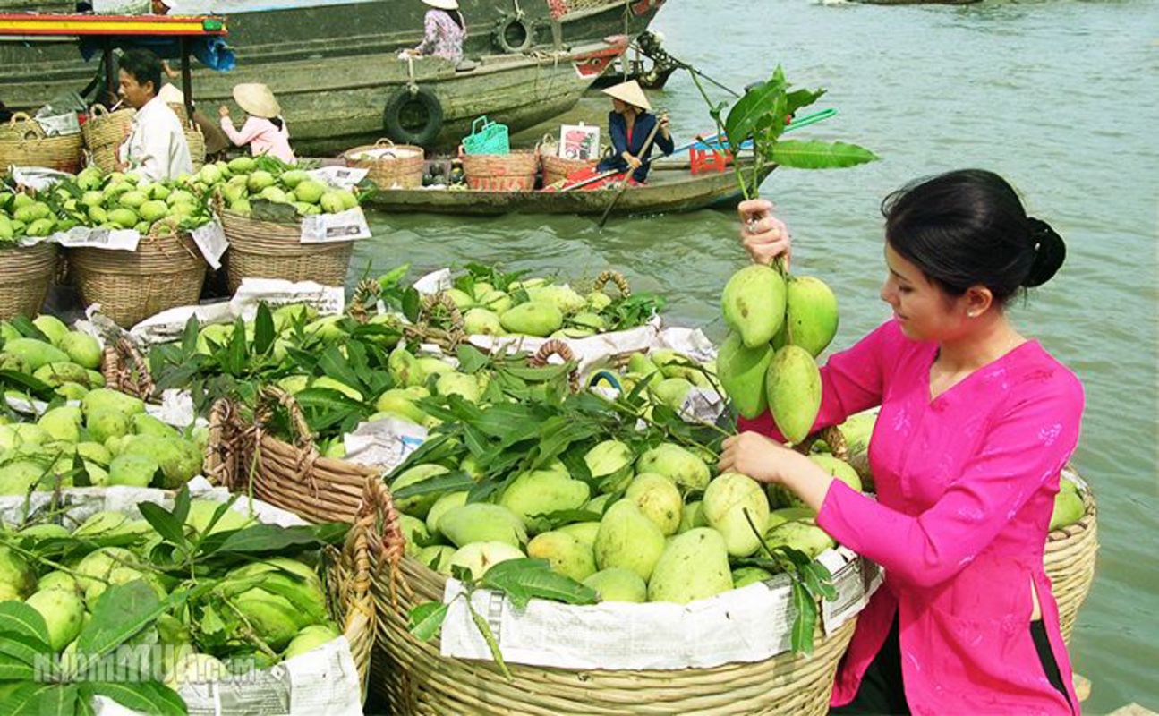 Capture the vibrant energy of Vinh Long’s river commerce