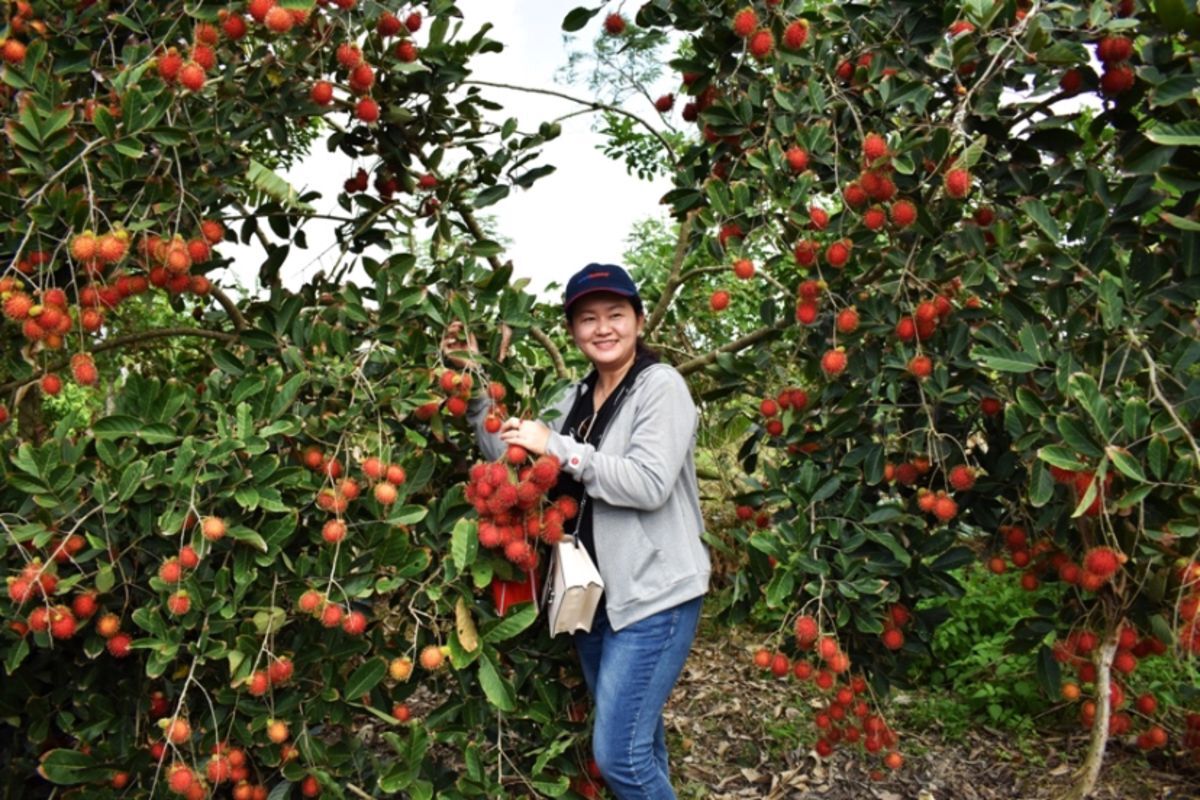 Dive into the serene charm of Vinh Long Travel