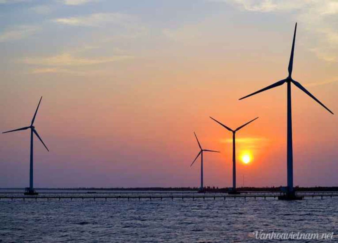 Capture the sustainable charm of Ca Mau’s ecotourism