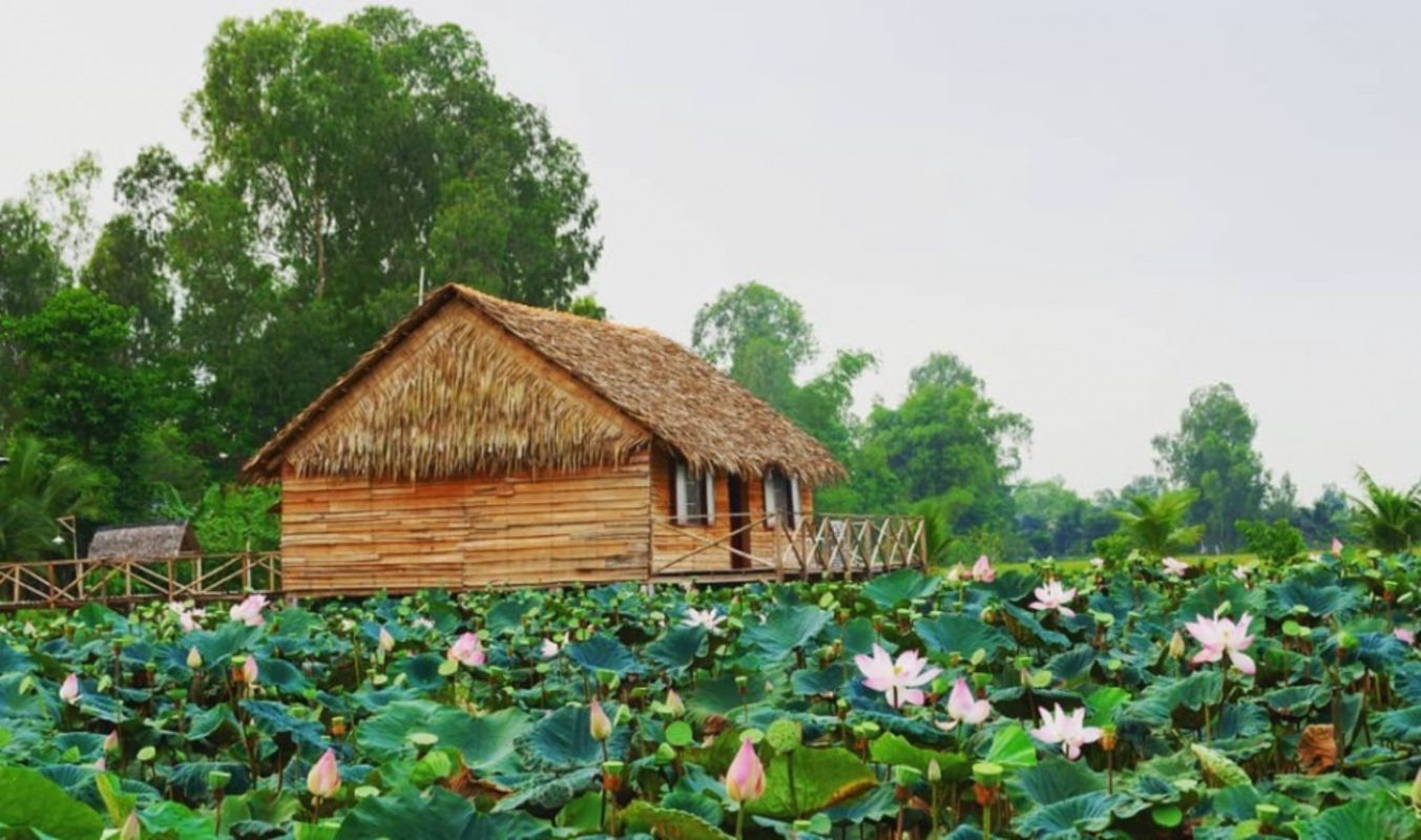 Experience Dong Thap Tours with sustainable adventures