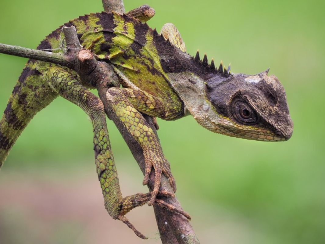 Capture the biodiversity of Ninh Binh’s eco-tourism gem