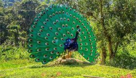 Dive into the authentic charm of Nha Trang Travel