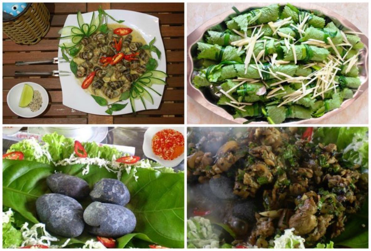 Capture the sustainable charm of Hau Giang’s ecotourism