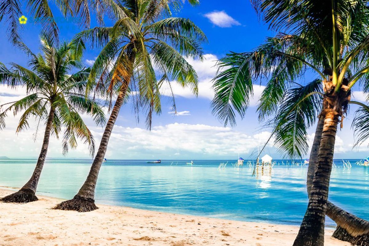 Photograph the cultural allure of Phu Quoc Island Travel’s heritage