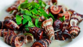 Capture the savory essence of Can Tho’s culinary gem