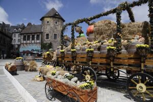 Da Nang City Travel Guide: Top Things to Do at Ba Na Hills & Eco-Tours