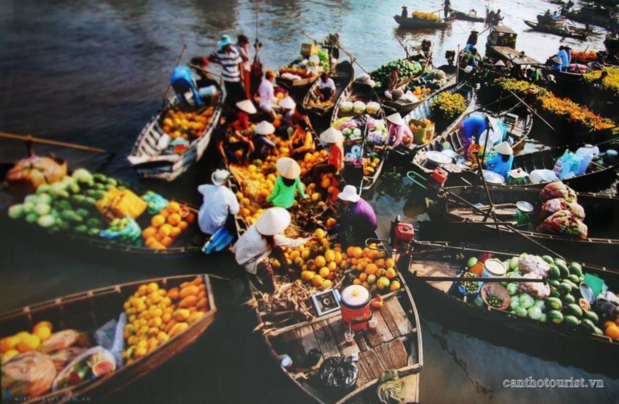 Dive into the lively charm of Can Tho Travel