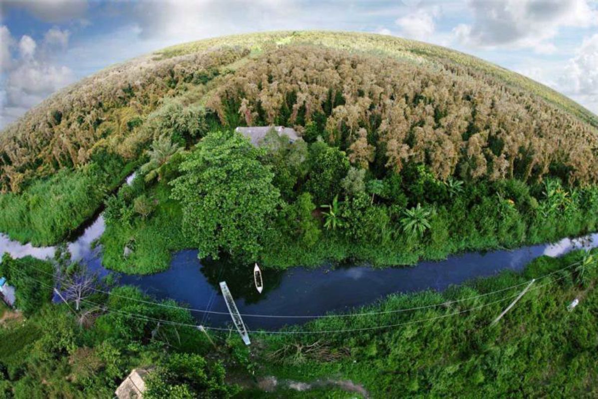 Natural ecosystems