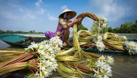 Dive into the verdant charm of Vinh Long Travel