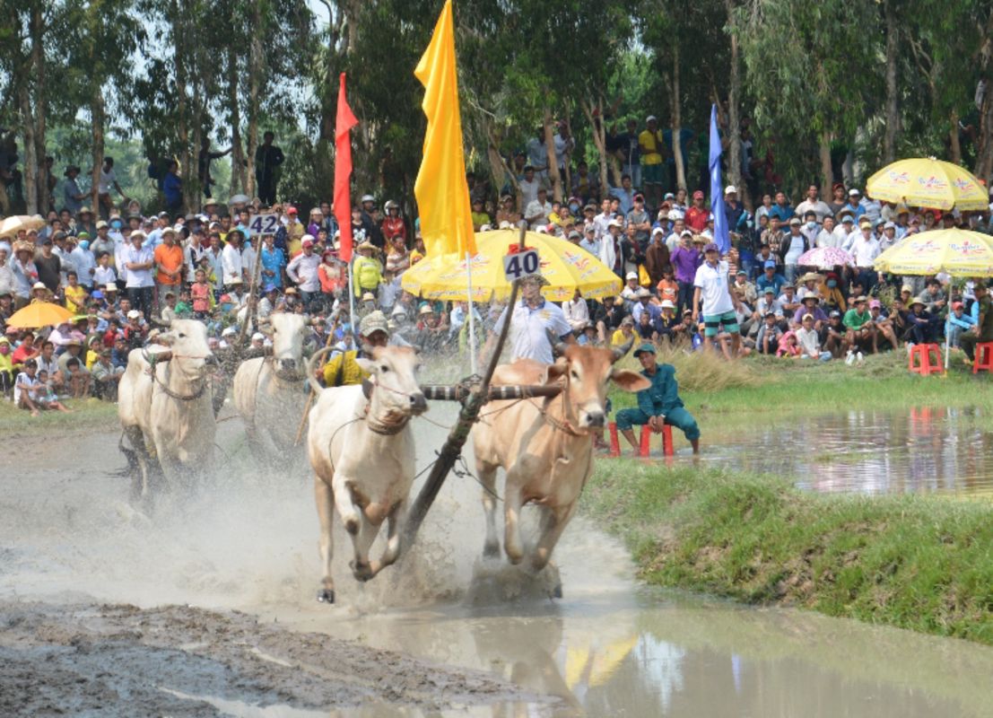 Photograph the vibrant allure of An Giang’s heritage